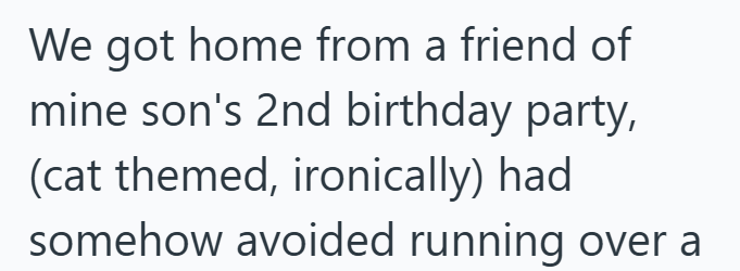 We got home from a friend of mine son's 2nd birthday party, (cat themed, ironically) had somehow avoided running over a