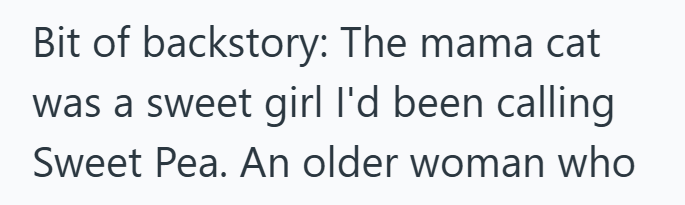 Bit of backstory: The mama cat was a sweet girl I'd been calling. Sweet Pea. An older woman who