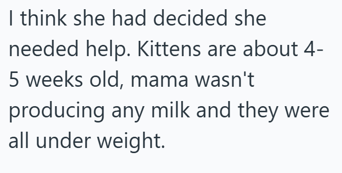 I think she had decided she needed help. Kittens are about 4- 5 weeks old, mama wasn't producing any milk and they were all under weight.