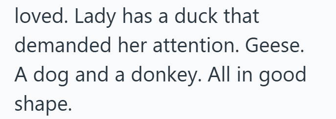loved. Lady has a duck that demanded her attention. Geese. A dog and a donkey. All in good shape.