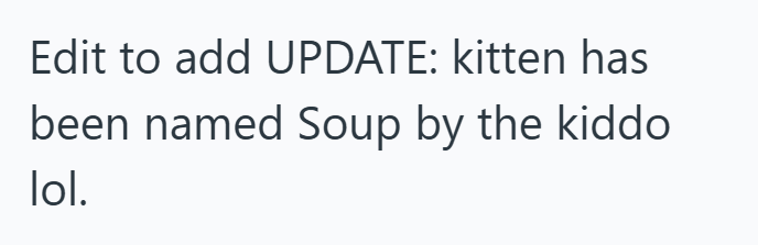 Edit to add UPDATE: kitten has been named Soup by the kiddo lol.