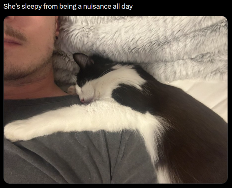 She's sleepy from being a nuisance all day