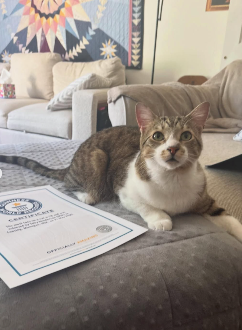 CERTIFICATE OFFICIALLY MAKING 444 444444 4444