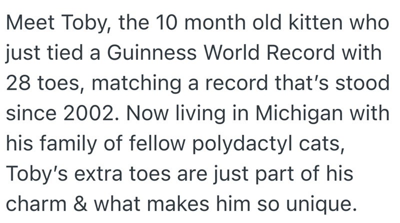 Meet Toby, the 10 month old kitten who just tied a Guinness World Record with 28 toes, matching a record that's stood since 2002. Now living in Michigan with his family of fellow polydactyl cats, Toby's extra toes are just part of his charm & what makes him so unique.