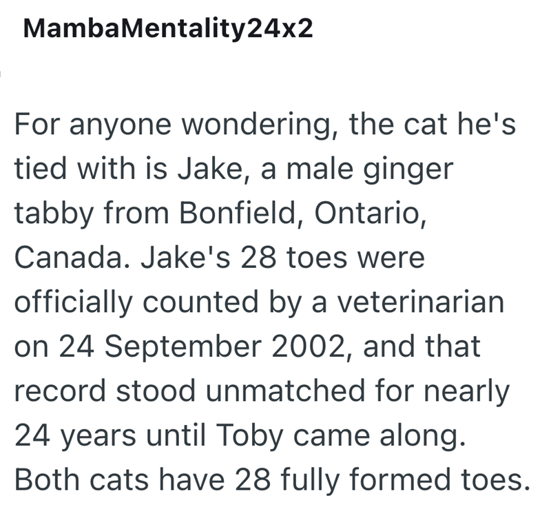 MambaMentality24x2 For anyone wondering, the cat he's tied with is Jake, a male ginger tabby from Bonfield, Ontario, Canada. Jake's 28 toes were officially counted by a veterinarian on 24 September 2002, and that record stood unmatched for nearly 24 years until Toby came along. Both cats have 28 fully formed toes.
