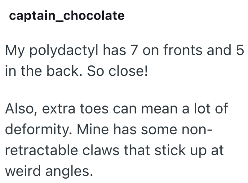 captain_chocolate My polydactyl has 7 on fronts and 5 in the back. So close! Also, extra toes can mean a lot of deformity. Mine has some non- retractable claws that stick up at weird angles.