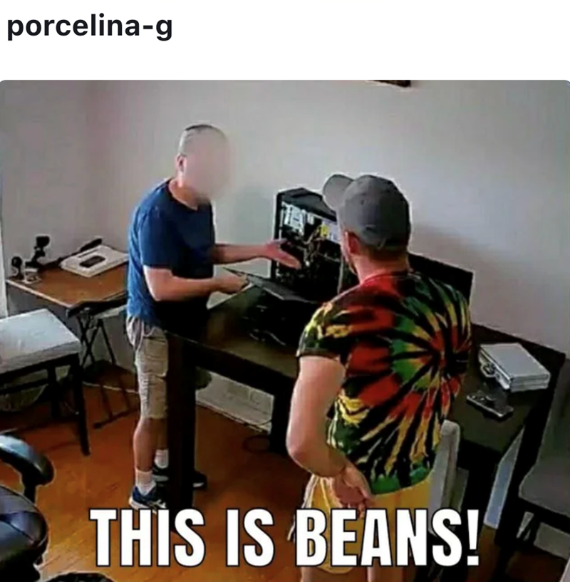 porcelina-g THIS IS BEANS!