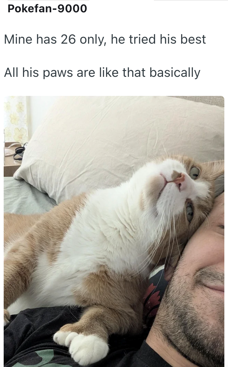 Pokefan-9000 Mine has 26 only, he tried his best All his paws are like that basically