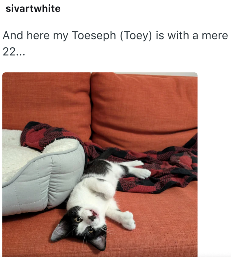 sivartwhite And here my Toeseph (Toey) is with a mere 22...