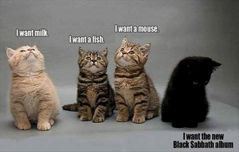 I want milk. I want a fish. I want a mouse. I want the new Black Sabbath album