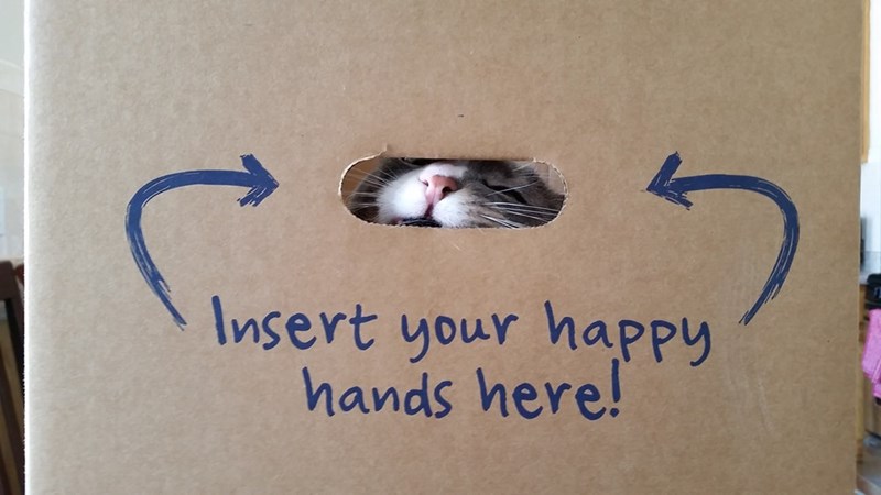 Insert your happy hands here!