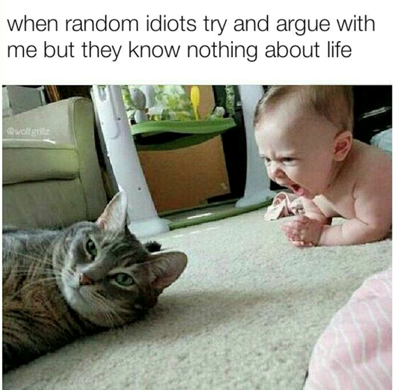 when random idiots try and argue with me but they know nothing about life @wolfgrillz