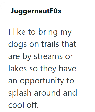 JuggernautFox I like to bring my dogs on trails that are by streams or lakes so they have an opportunity to splash around and cool off.