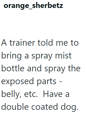 orange_sherbetz A trainer told me to bring a spray mist bottle and spray the exposed parts - belly, etc. Have a double coated dog.
