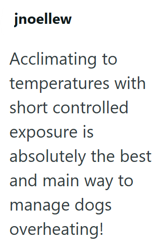 jnoellew Acclimating to temperatures with short controlled exposure is absolutely the best and main way to manage dogs overheating!