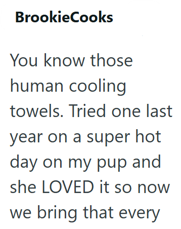 BrookieCooks You know those human cooling towels. Tried one last year on a super hot day on my pup and she LOVED it so now we bring that every
