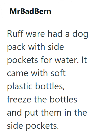 MrBadBern Ruff ware had a dog pack with side pockets for water. It came with soft plastic bottles, freeze the bottles and put them in the side pockets.