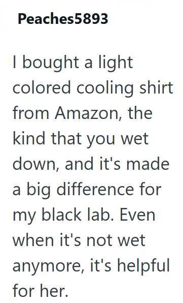 Peaches5893 I bought a light colored cooling shirt from Amazon, the kind that you wet down, and it's made a big difference for my black lab. Even when it's not wet anymore, it's helpful for her.
