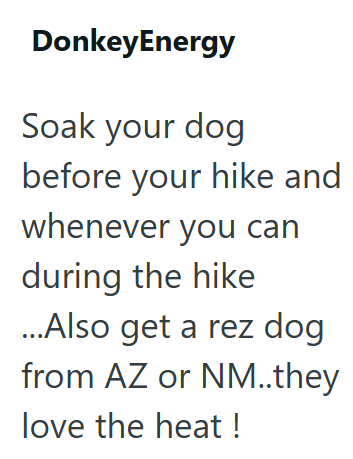 DonkeyEnergy Soak your dog before your hike and whenever you can during the hike ...Also get a rez dog from AZ or NM..they love the heat!