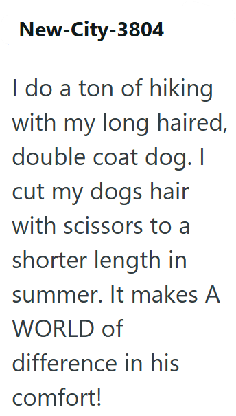 New-City-3804 I do a ton of hiking with my long haired, double coat dog. I cut my dogs hair with scissors to a shorter length in summer. It makes A WORLD of difference in his comfort!