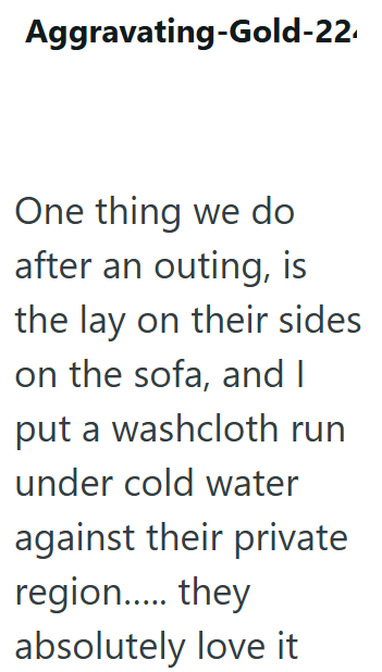Aggravating-Gold-22. One thing we do after an outing, is the lay on their sides on the sofa, and I put a washcloth run under cold water against their private region..... they absolutely love it