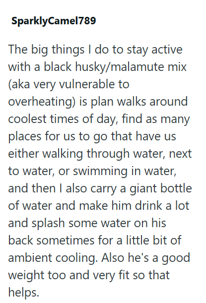 SparklyCamel789 The big things I do to stay active with a black husky/malamute mix (aka very vulnerable to overheating) is plan walks around coolest times of day, find as many places for us to go that have us either walking through water, next to water, or swimming in water, and then I also carry a giant bottle of water and make him drink a lot and splash some water on his back sometimes for a little bit of ambient cooling. Also he's a good weight too and very fit so that helps.