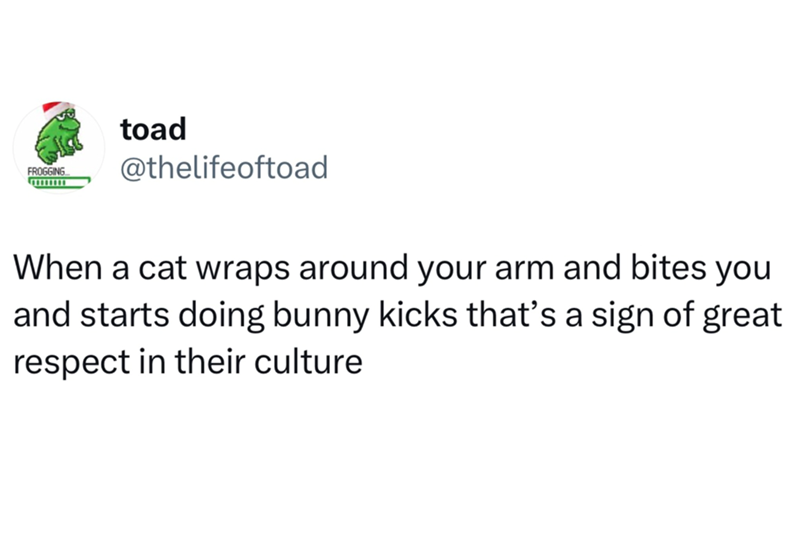 FROGGING toad @thelifeoftoad When a cat wraps around your arm and bites you and starts doing bunny kicks that's a sign of great respect in their culture