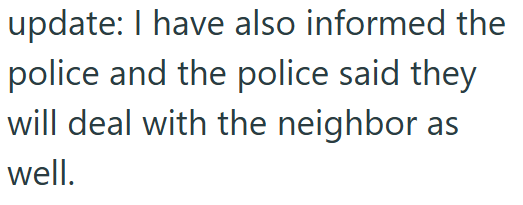 update: I have also informed the police and the police said they will deal with the neighbor as well.