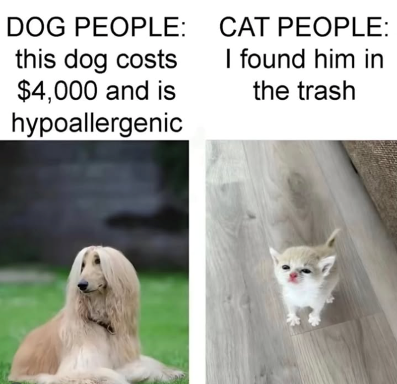 DOG PEOPLE: this dog costs $4,000 and is hypoallergenic CAT PEOPLE: I found him in the trash