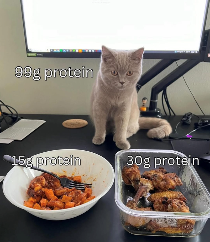 99g protein 15g protein 30g protein