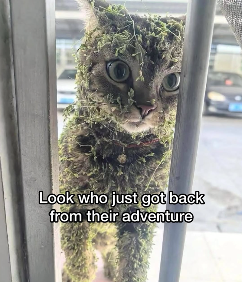 Look who just got back from their adventure