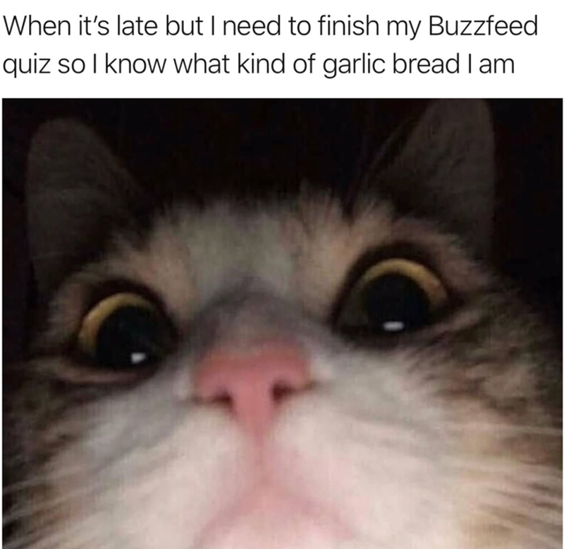 When it's late but I need to finish my Buzzfeed quiz so I know what kind of garlic bread I am