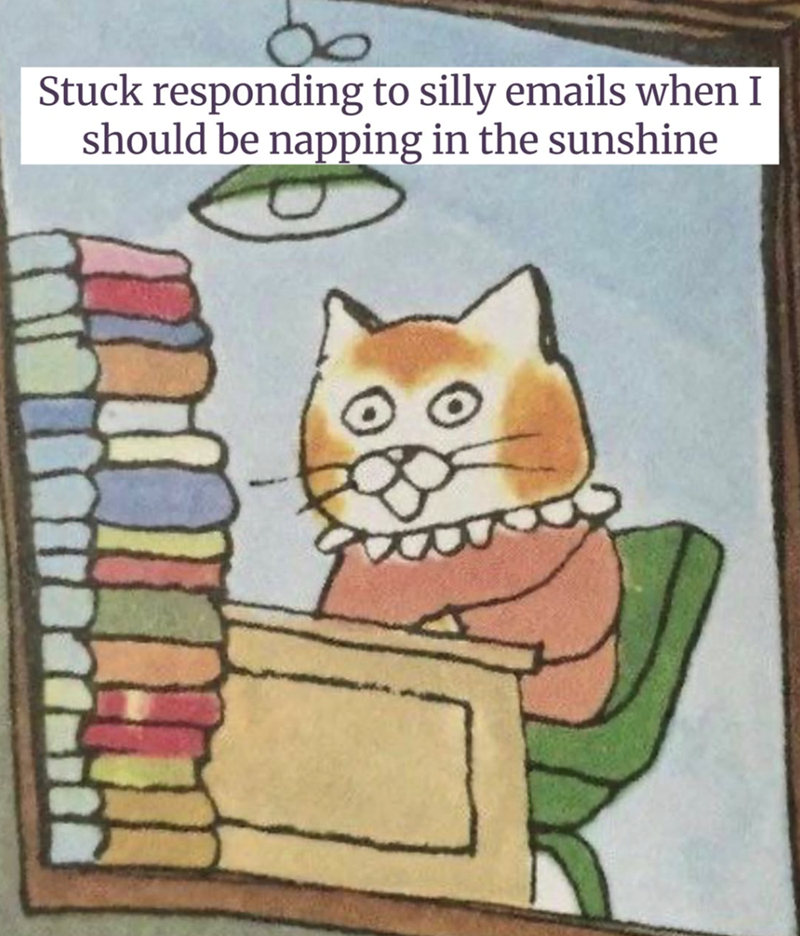 Stuck responding to silly emails when I should be napping in the sunshine