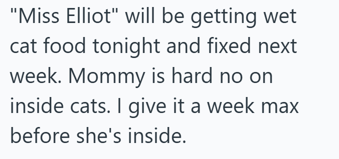 "Miss Elliot" will be getting wet cat food tonight and fixed next week. Mommy is hard no on inside cats. I give it a week max before she's inside.