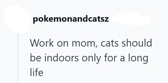 pokemonandcatsz Work on mom, cats should be indoors only for a long life