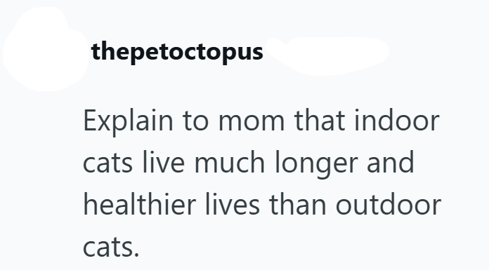 thepetoctopus Explain to mom that indoor cats live much longer and healthier lives than outdoor cats.