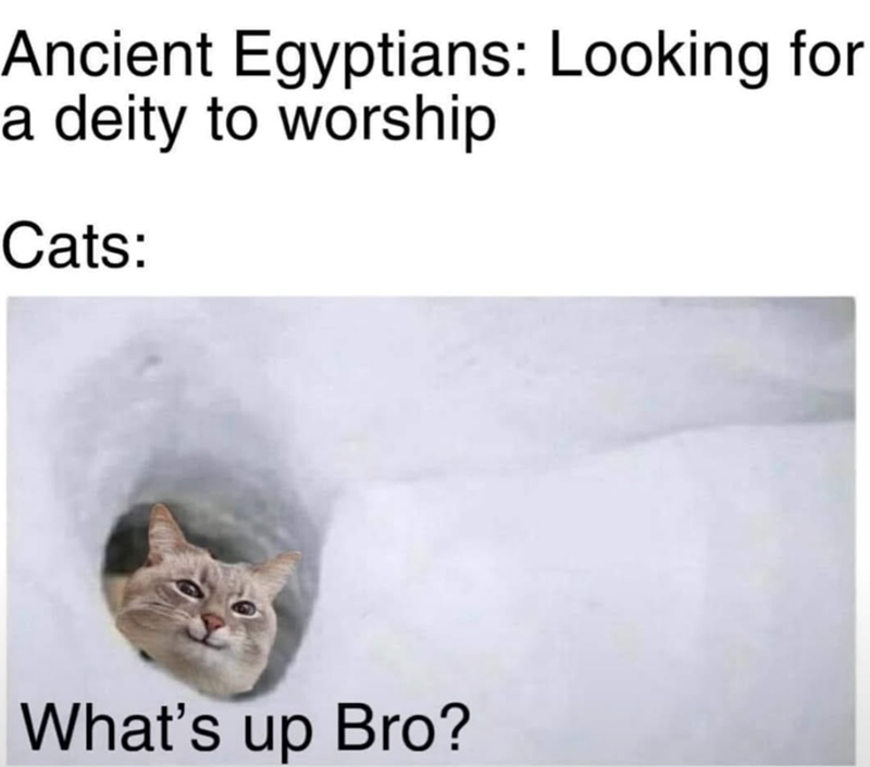 Ancient Egyptians: Looking for a deity to worship Cats: What's up Bro?