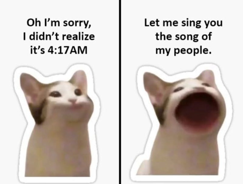 Oh I'm sorry, I didn't realize it's 4:17AM Let me sing you the song of my people.