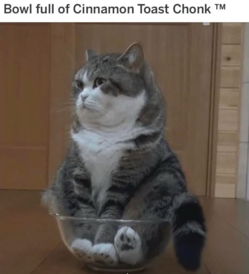Bowl full of Cinnamon Toast Chonk TM