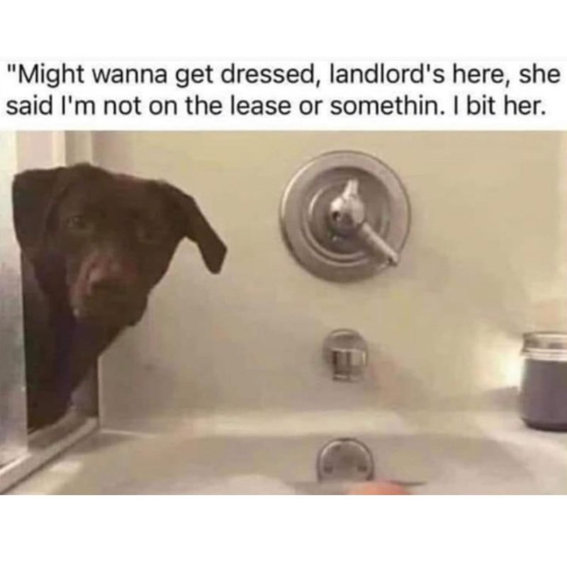 "Might wanna get dressed, landlord's here, she said I'm not on the lease or somethin. I bit her.