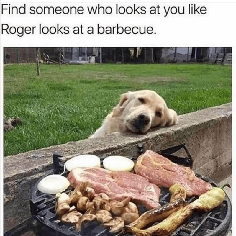 Find someone who looks at you like Roger looks at a barbecue.