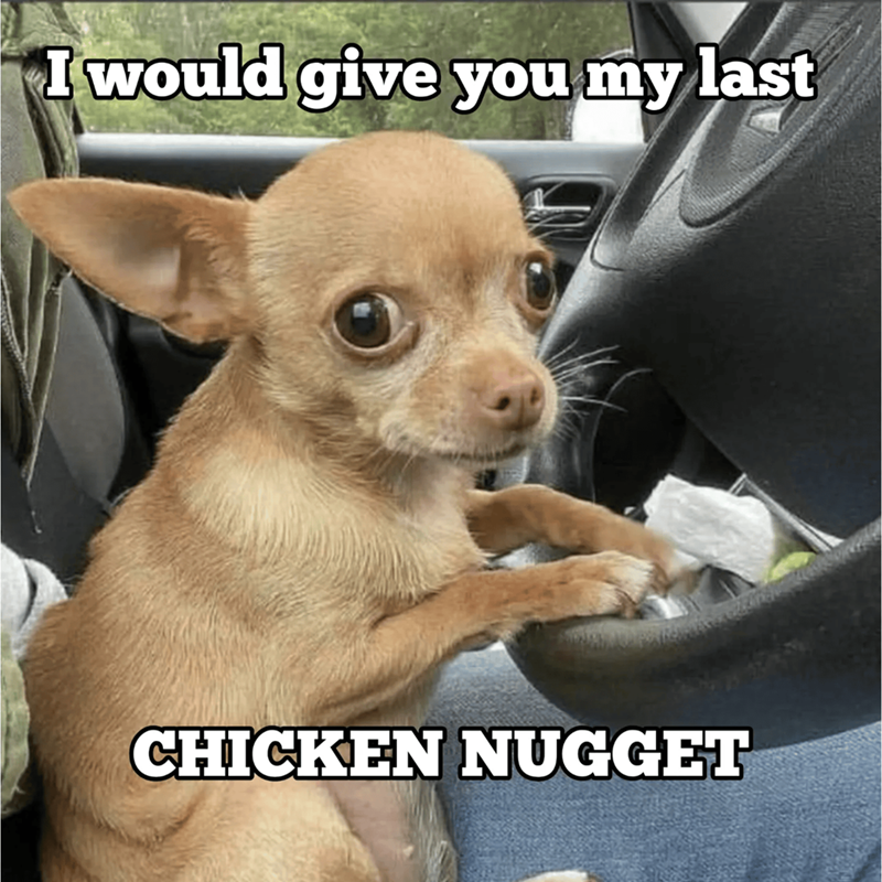 I would give you my last CHICKEN NUGGET