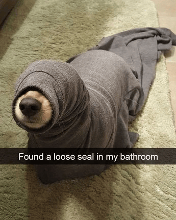 Found a loose seal in my bathroom