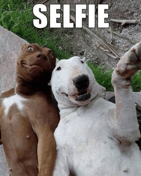 SELFIE