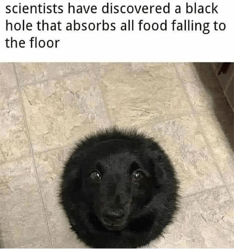 scientists have discovered a black hole that absorbs all food falling to the floor