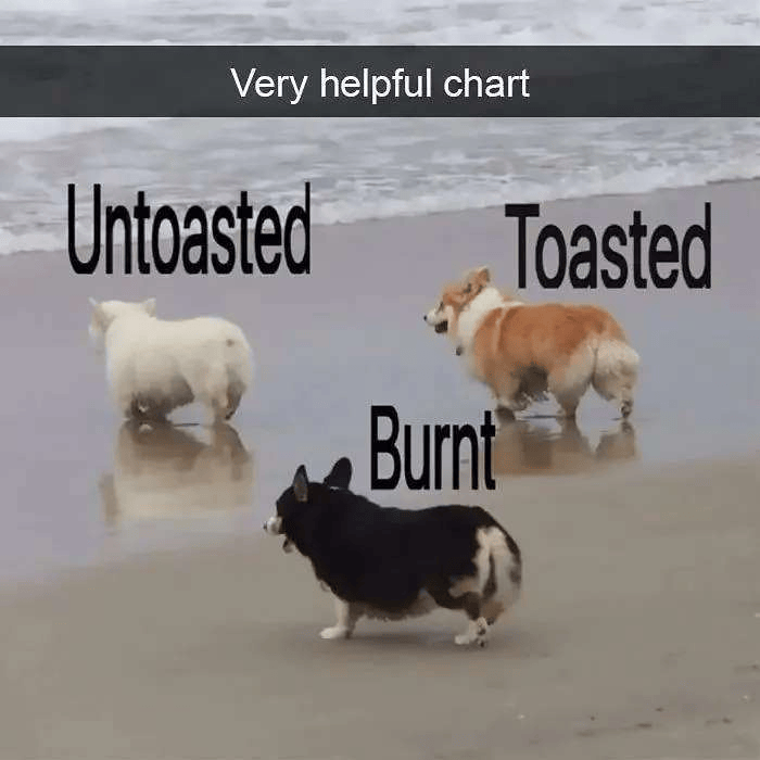 Very helpful chart Untoasted Burnt Toasted