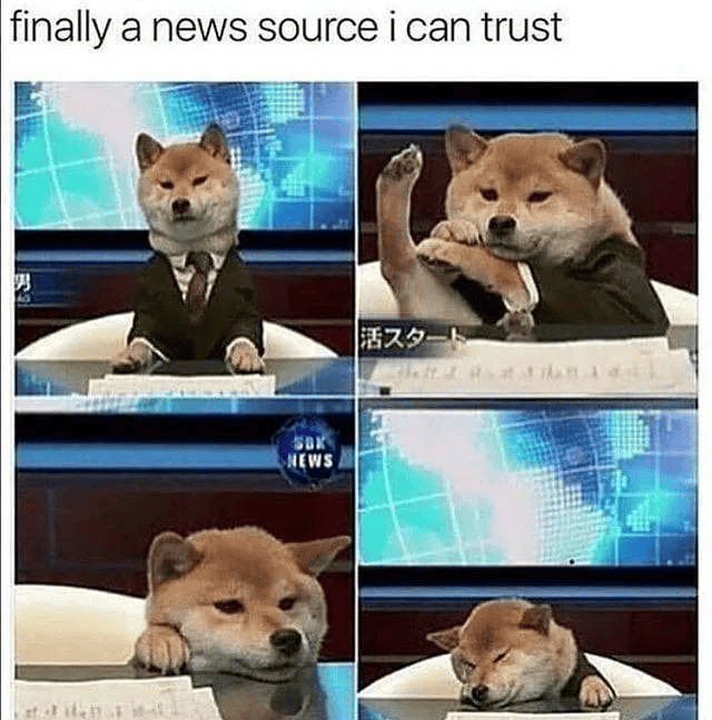 finally a news source i can trust BS 3 活スタート SOK NEWS