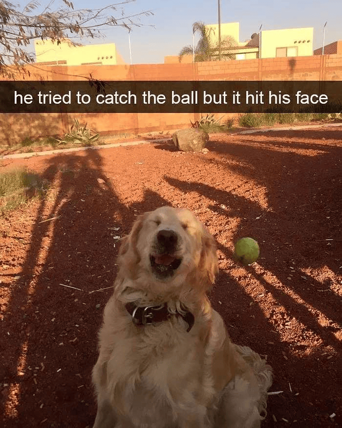 he tried to catch the ball but it hit his face