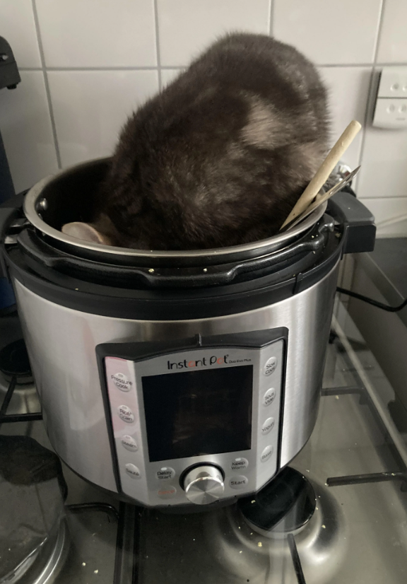 Pressure Cook Instant P t keep Start