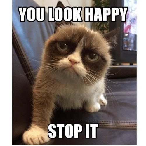 YOU LOOK HAPPY STOP IT